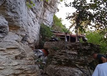 В Сочинском нацпарке мужчина вырастил 24 куста конопли