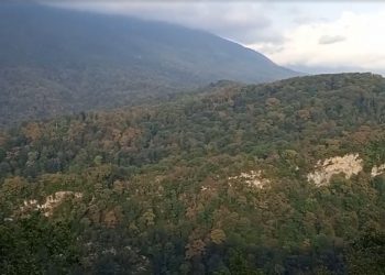 Синоптики рассказали, когда погода в Краснодарском крае испортится стремительно