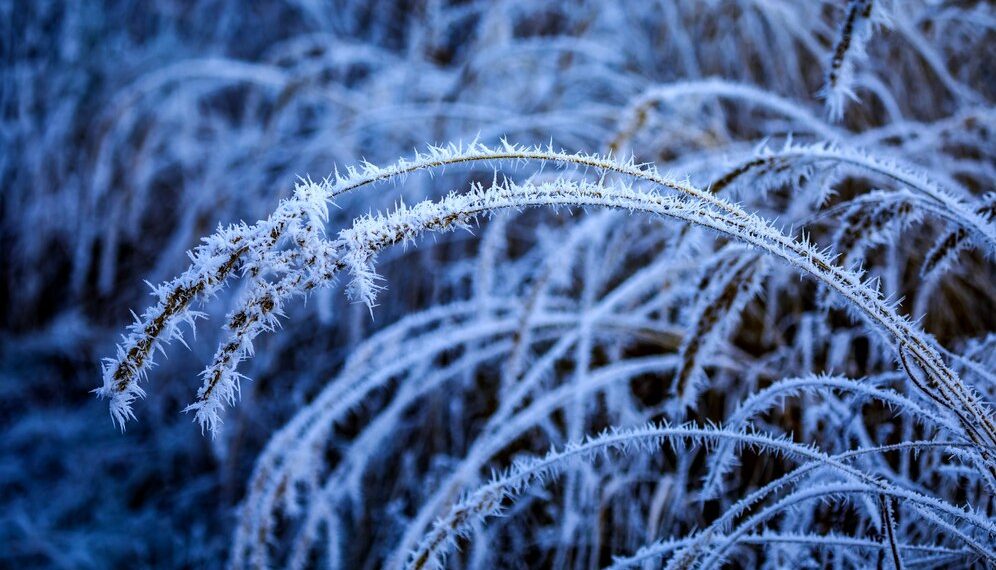 Синоптики назвали дату первых заморозков в Краснодарском крае