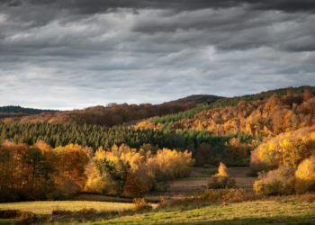 Синоптики резко изменили прогноз на октябрь и ноябрь в Краснодарском крае