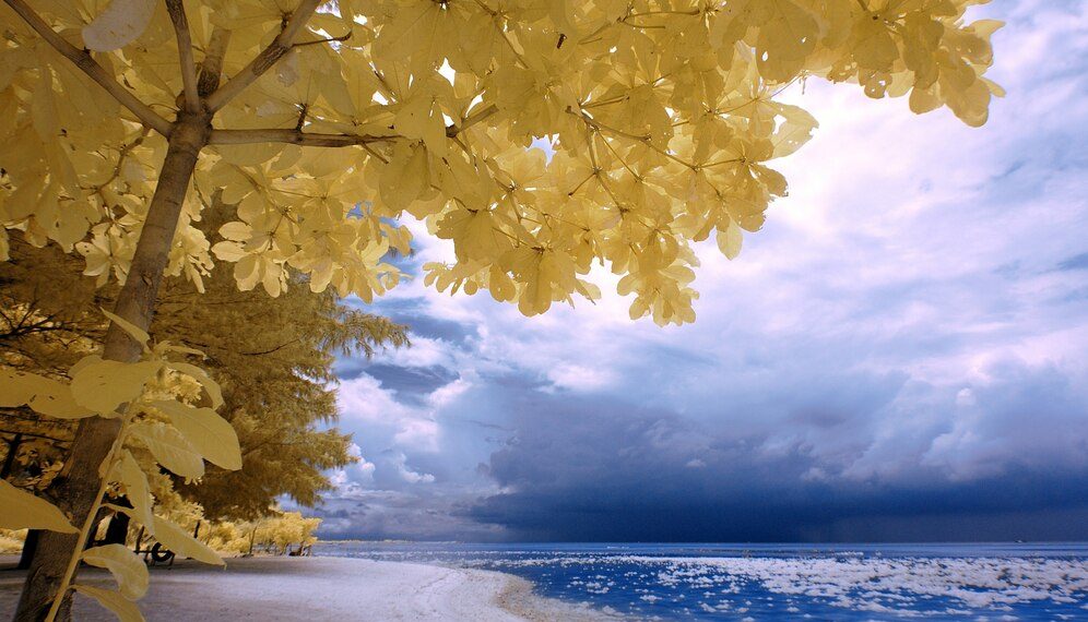 Синоптики нарисовали безрадостную картину на середину осени в Краснодарском крае