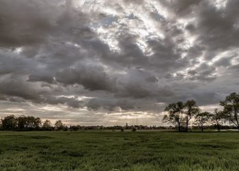На юге России столбики термометров к концу недели обрушатся вниз