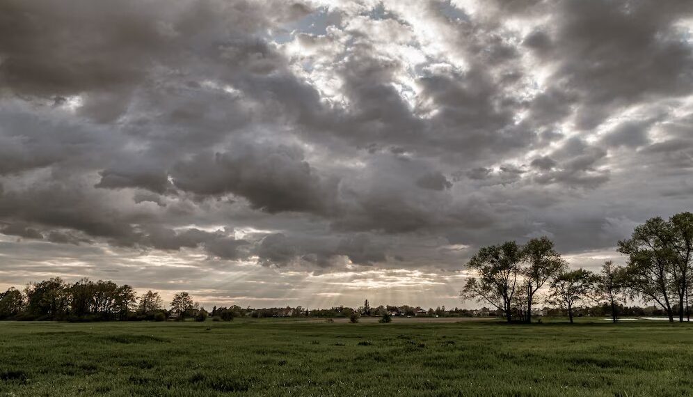 На юге России столбики термометров к концу недели обрушатся вниз