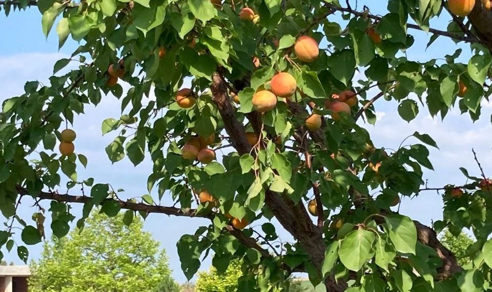 Синоптики резко изменили прогноз на неделю в Краснодарском крае