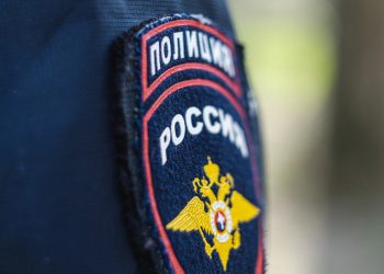 В Сочи полиция проводит проверку по факту нападения собак на женщину