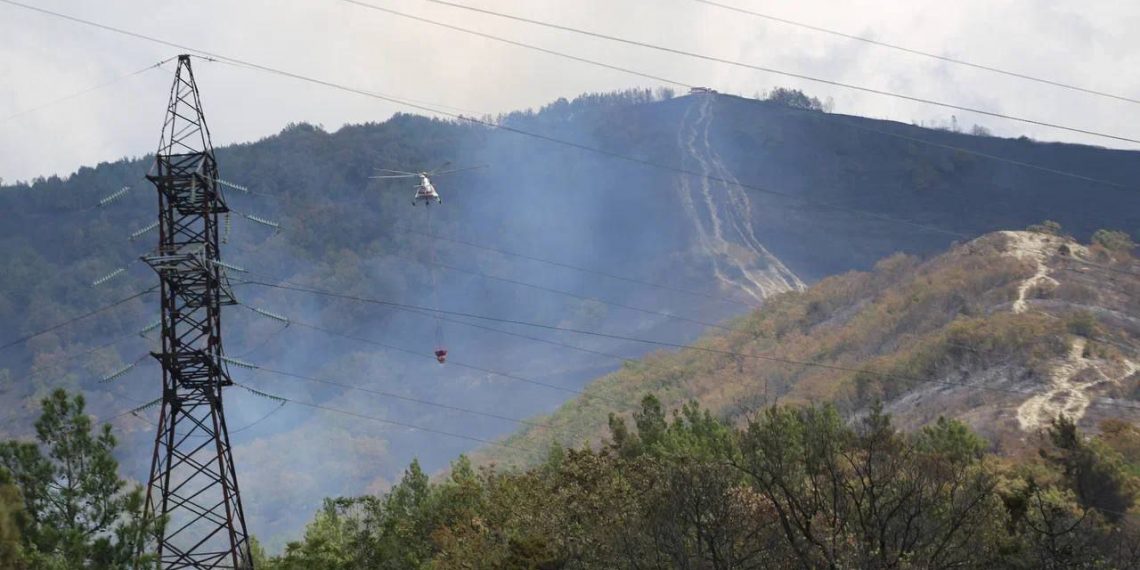 Сумма ущерба от пожара в Геленджике составила 92 млн рублей