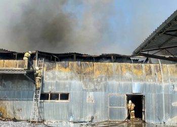 Крупный пожар на Кубани тушили почти 12 часов