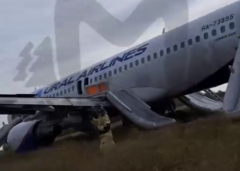 Самолёт Сочи – Омск из-за отказавшей гидросистемы экстренно сел в Новосибирске