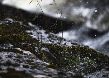 ЦГМС: в Краснодарском крае в эти выходные выпадет мокрый снег