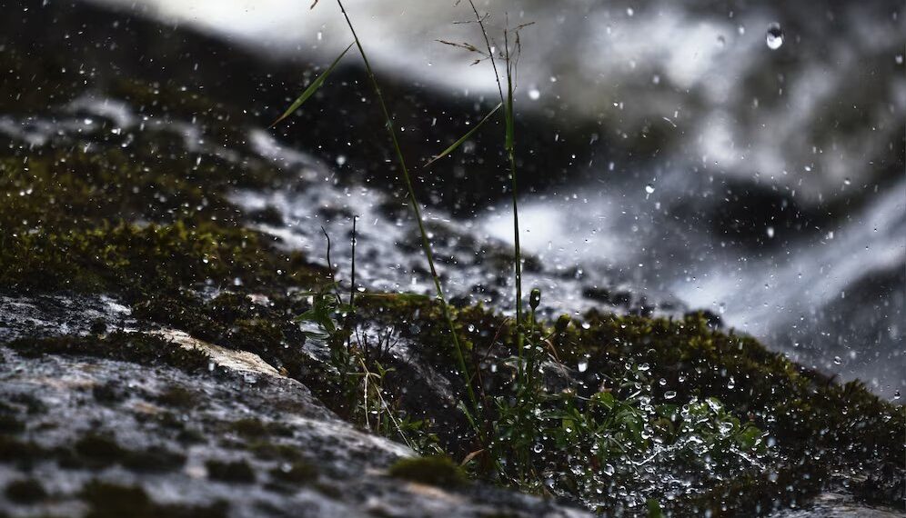 ЦГМС: в Краснодарском крае в эти выходные выпадет мокрый снег