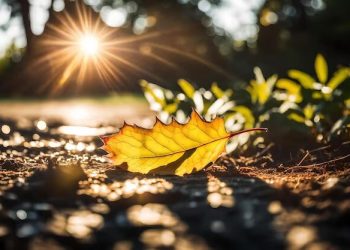 Синоптики заявили о рекордной жаре на предстоящей неделе на Кубани