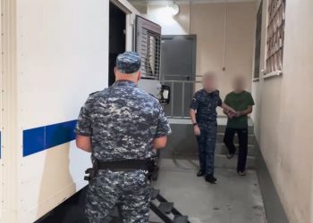 Сочинцу, чьи три собаки напали на женщину, предъявили обвинение