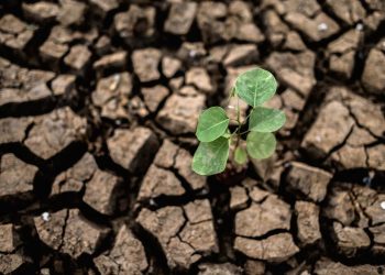 Синоптики ЦГМС заявили о прекращении атмосферной засухи в Краснодарском крае