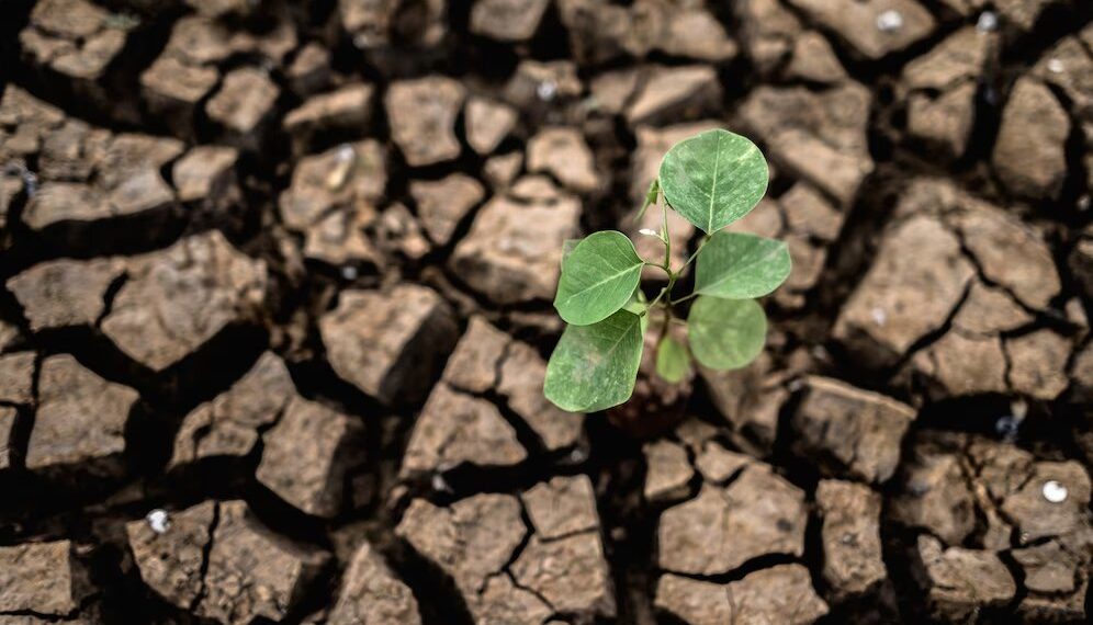 Синоптики ЦГМС заявили о прекращении атмосферной засухи в Краснодарском крае