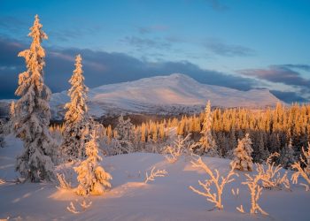 Синоптики рассказали об аномальной зиме в Краснодарском крае из-за Эль-Ниньо