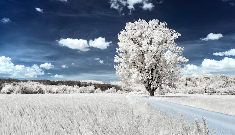 Синоптики раскрыли все варианты предстоящей зимы в Краснодарском крае