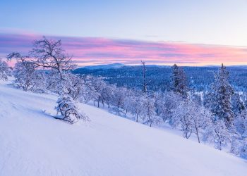 Синоптики переиграли прогноз погоды на зиму 2023-2024 в Краснодарском крае