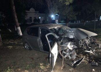 На Кубани водитель иномарки врезался в дерево и погиб