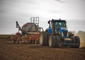 На Кубани засеют озимые на площади почти 1,8 млн гектар