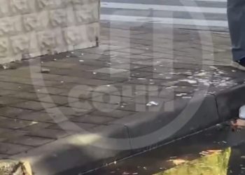 В Сочи женщина швырнула бутылку и чуть не попала в ребенка