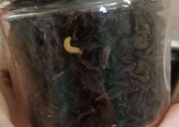 Жительница Краснодара купила маме в подарок чай с червяками