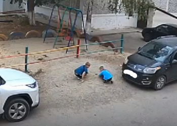 Два мальчика в кубанском поселке живую кошку закопали на детской площадке