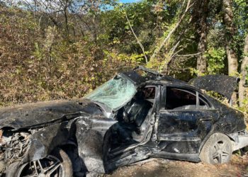 В Геленджике 17-летний подросток на иномарке врезался в дерево и погиб