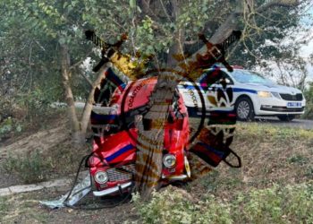 На Кубани девушка на «Жигулях» врезалась в дерево и сама же пострадала