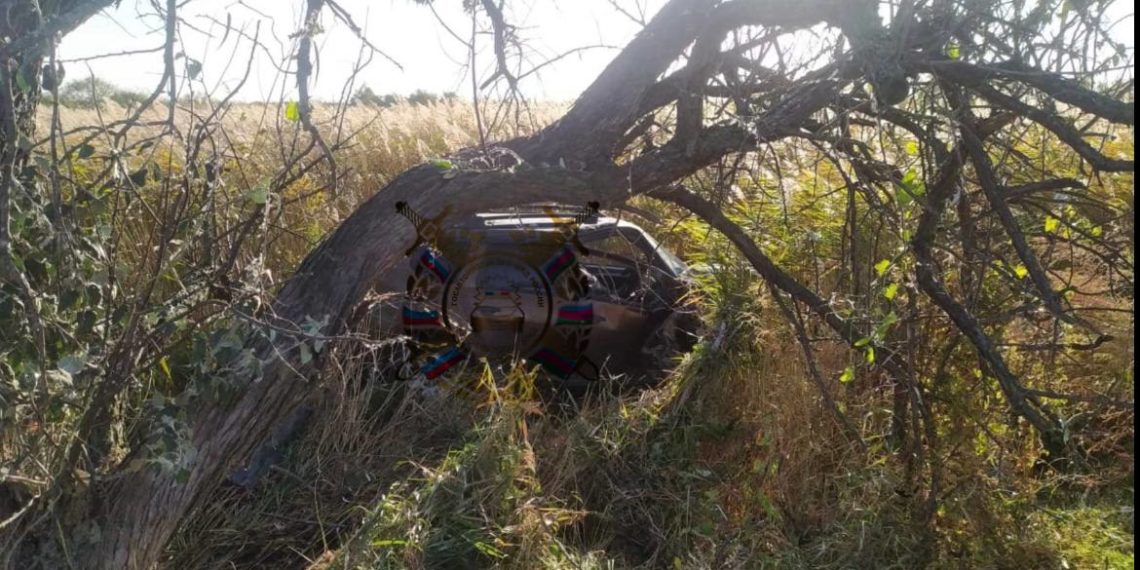 На Кубани водитель Renault врезался в дерево и погиб