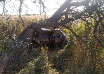 На Кубани водитель Renault врезался в дерево и погиб