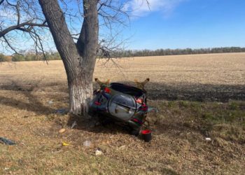На Кубани женщина на Kia врезалась в КамАЗ, протаранила дерево и погибла