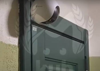 Подмосковные соседи армавирского курьера Егора Семёнова не верят в его вину