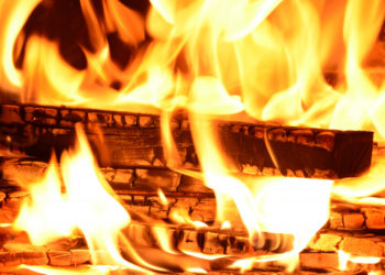 На Кубани 54 человека тушат лесной пожар площадью три гектара