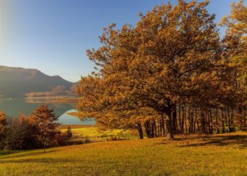 Предстоящая неделя в Краснодарском крае пройдет под влиянием антициклона