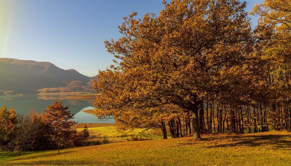 Предстоящая неделя в Краснодарском крае пройдет под влиянием антициклона