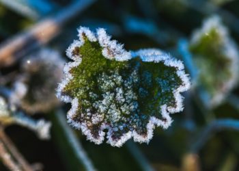 Синоптики рассказали, где в ближайшие дни подморозит в Краснодарском крае