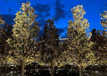 Синоптик: Жители Кубани столкнутся с отдельными отголосками похолодания