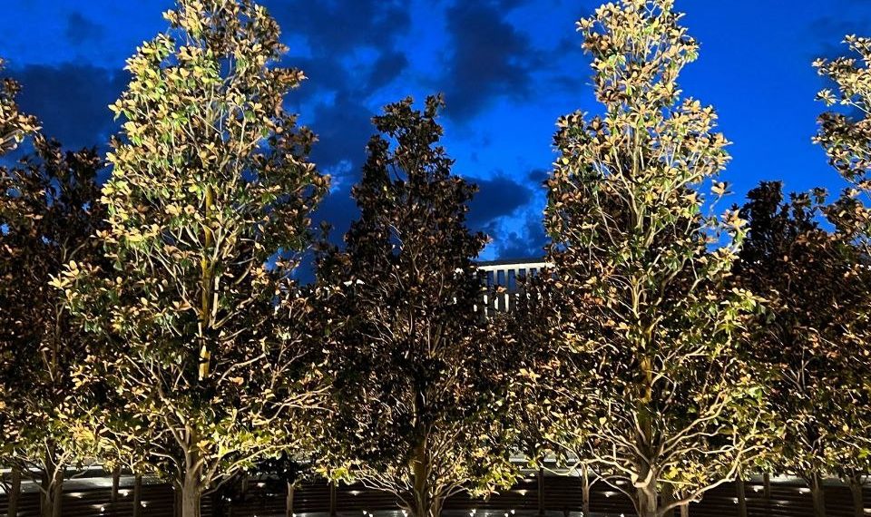 Синоптик: Жители Кубани столкнутся с отдельными отголосками похолодания