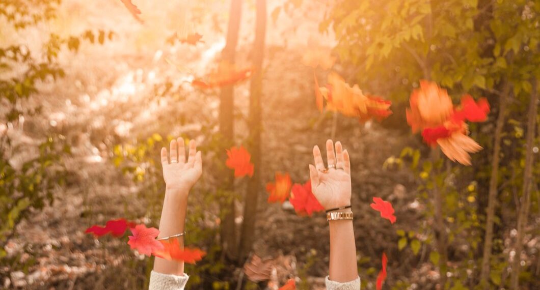 Синоптик Роман Вильфанд резко изменил прогноз на октябрь в Краснодарском крае