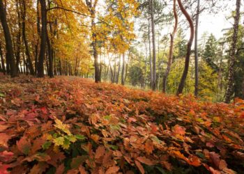 «Погода в выходные нанесет удар в спину». Синоптики сказали, к чему готовиться