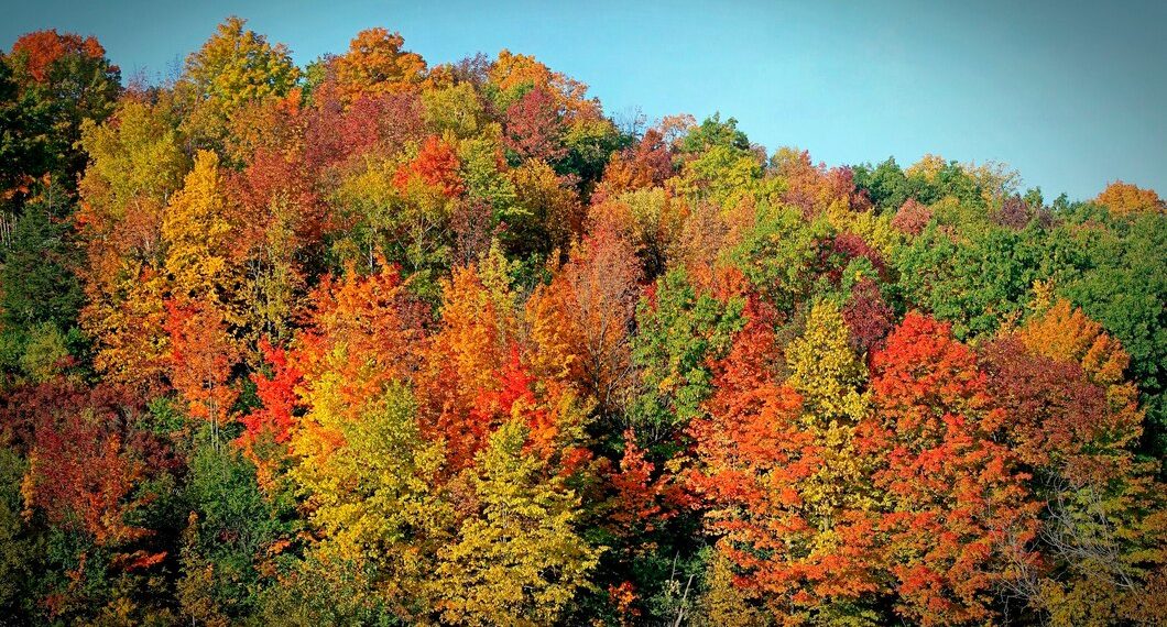 Неделя с 9 октября всем нам подложит свинью. Синоптик резко изменил прогноз