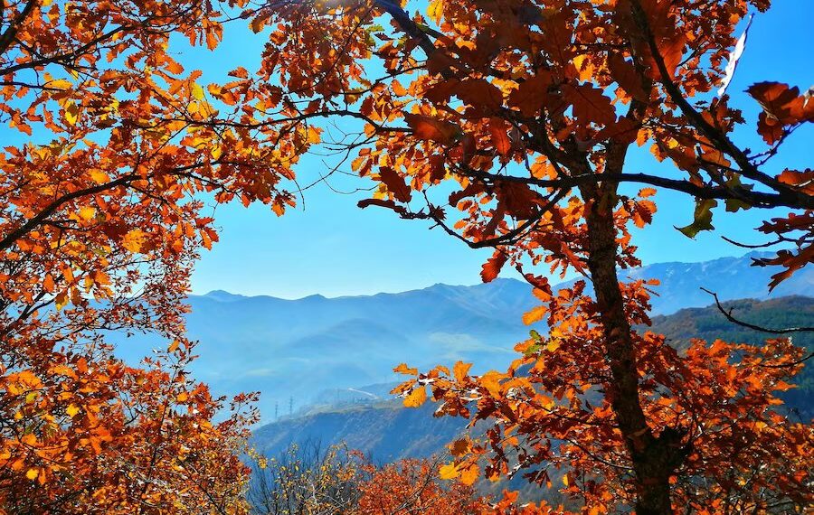 Жителей Краснодарского края в октябре и ноябре ждет сумасшедшая погода