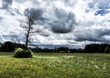 Синоптики рассказали о неистовой погоде в ближайшие дни в Краснодарском крае