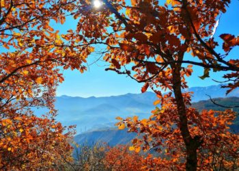 Жителям Краснодарского края озвучили самый теплый день на предстоящей неделе