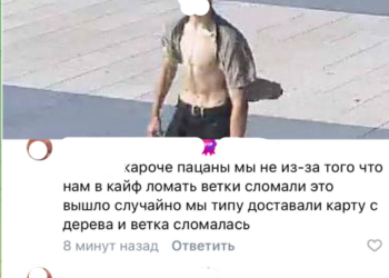 В Краснодаре сломавший дерево в парке Галицкого парень объяснил свое поведение