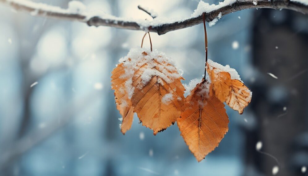 В начале второй недели октября Краснодарский край припорошило снегом