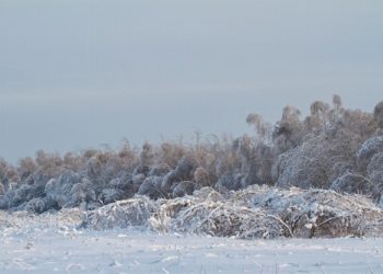 Синоптики рассказали о влиянии Эль-Ниньо на погоду предстоящей зимой на Кубани