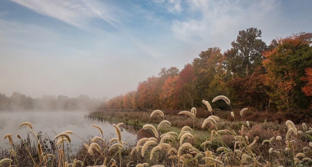 Синоптик Шувалов назвал главный погодный нюанс на предстоящей неделе на Кубани