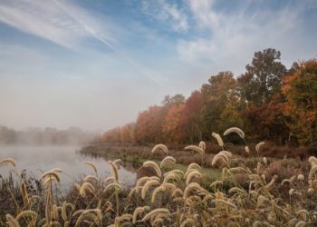 Синоптик Шувалов назвал главный погодный нюанс на предстоящей неделе на Кубани