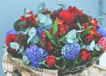 За цветами: на просторы сети